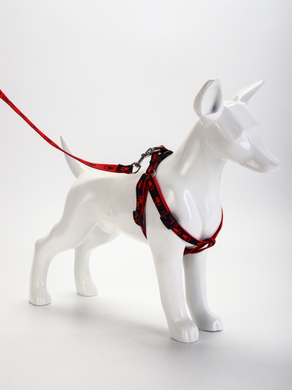 Комплект "Большая лапа", ширина 1,5 см, поводок 120 см, шлейка 28-42 см, красно-чёрный