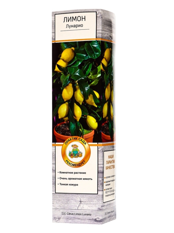 Цитрус "Лимон Лунарио", туба, 1 шт, Весна 2025