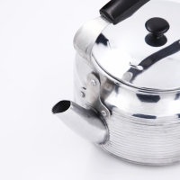 Чайник &laquo;Полированный&raquo;, 2 л