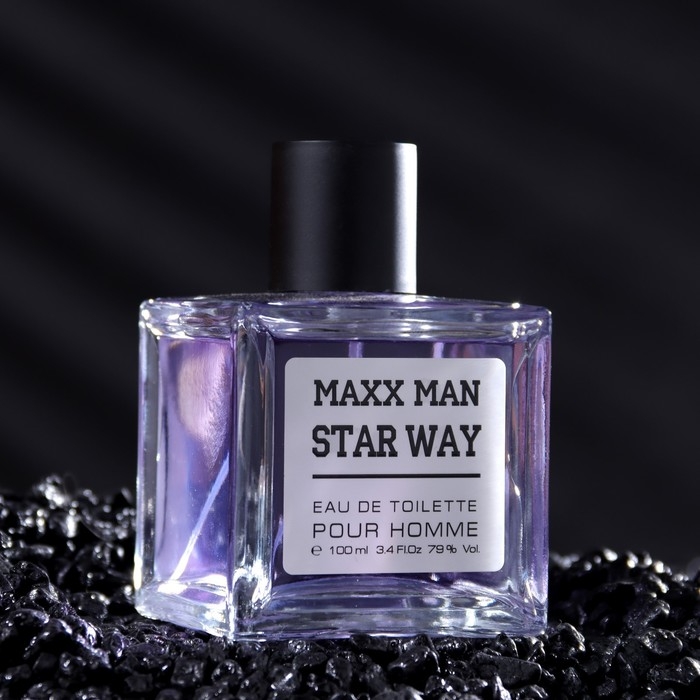 Туалетная вода мужская Maxx Man StarWa, 100 мл (по мотивам Egoiste Platinum (Chanel) Туалетная вода мужская Maxx Man StarWa, 100 мл (по мотивам Egoiste Platinum (Chanel)