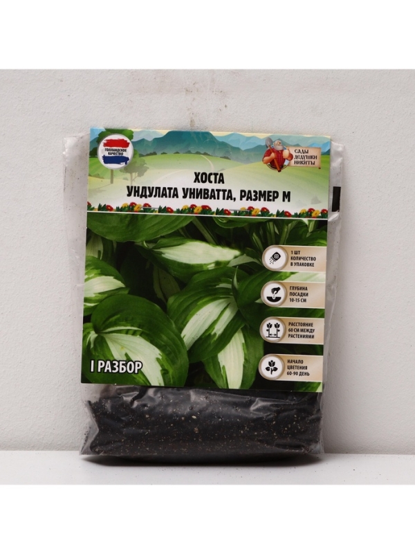 Хоста Undulata Univittata, корневище в пакете с торфогрунтом, р-р I, размер M,1 шт.