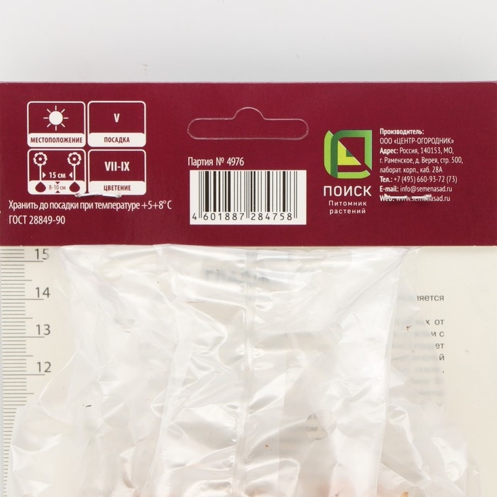 Гладиолус крупноцветковый &laquo;Пинк Ивент&raquo;, луковица цветов в пакете с перфорацией, р-р 12/14, 5 шт.