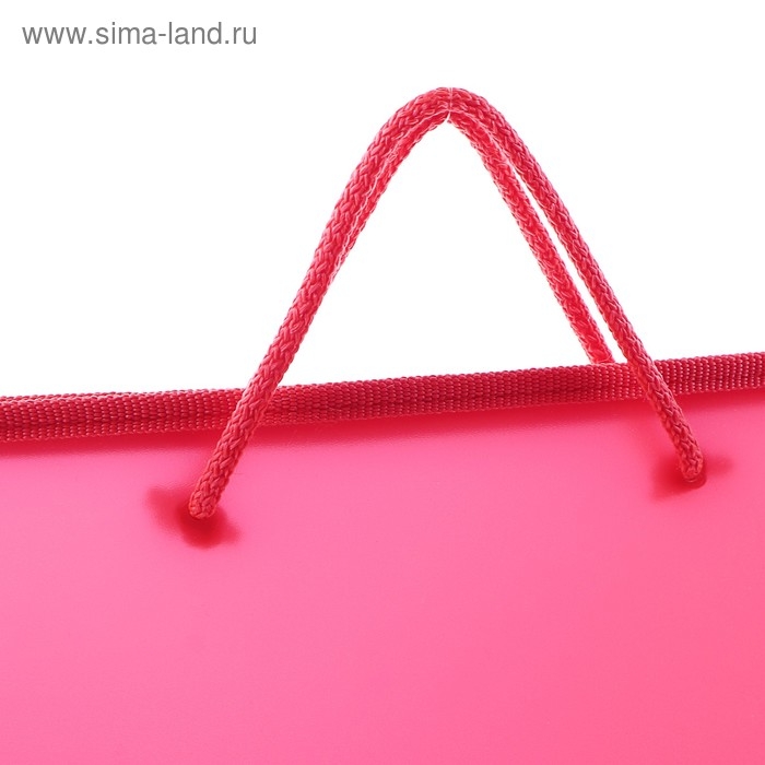 Папка с ручками А4, 230 х 185 х 25 мм, молния вокруг, плстиковая, ПТ-112, Папка с ручками А4, 230 х 185 х 25 мм, молния вокруг, плстиковая, ПТ-112, "Офис", тонированная, цвет красный