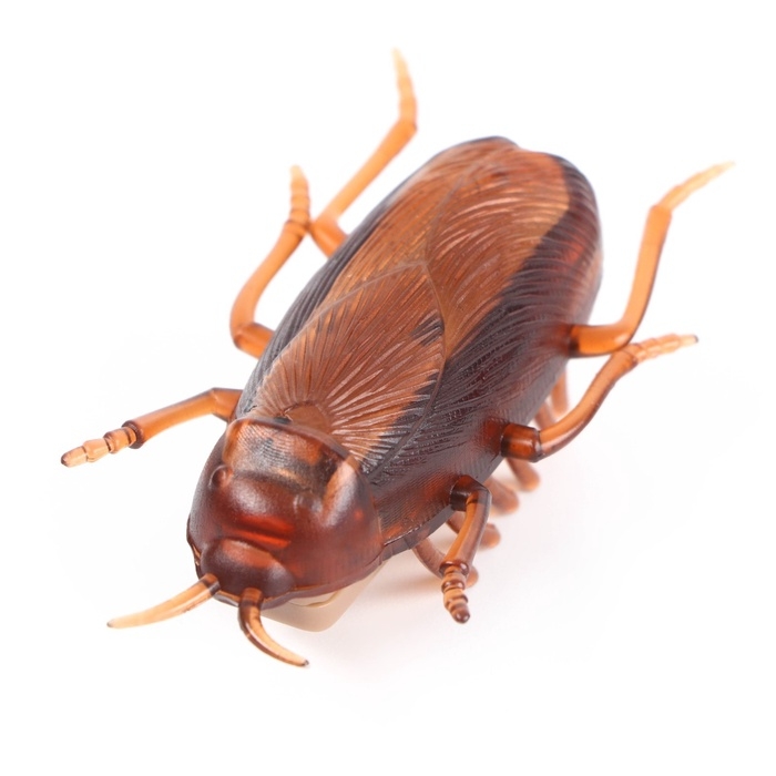 Интерактивная игрушка для кошек &laquo;Таракан&raquo;