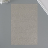 Лист для творчества иск.кожа "Личи. Перламутр" тёмное серебро лист 33х20 см толщина 0,9 мм Лист для творчества иск.кожа "Личи. Перламутр" тёмное серебро лист 33х20 см толщина 0,9 мм