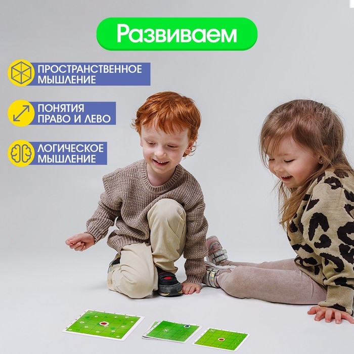 Нейропсихологическая игра &laquo;Где муха?&raquo;