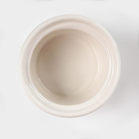 Банка для хранения сыпучих продуктов Доляна &laquo;Кактус&raquo;, 170 мл, 8&times;8&times;15 см, керамическая