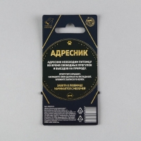 Адресник &laquo;Талисман&raquo; для вложения записки, капсула 5.2х1.4 см