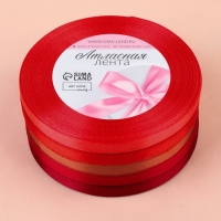 Набор атласных лент, 5 шт, размер 1 ленты: 6 мм &times; 23 &plusmn; 1 м, цвет красный спектр