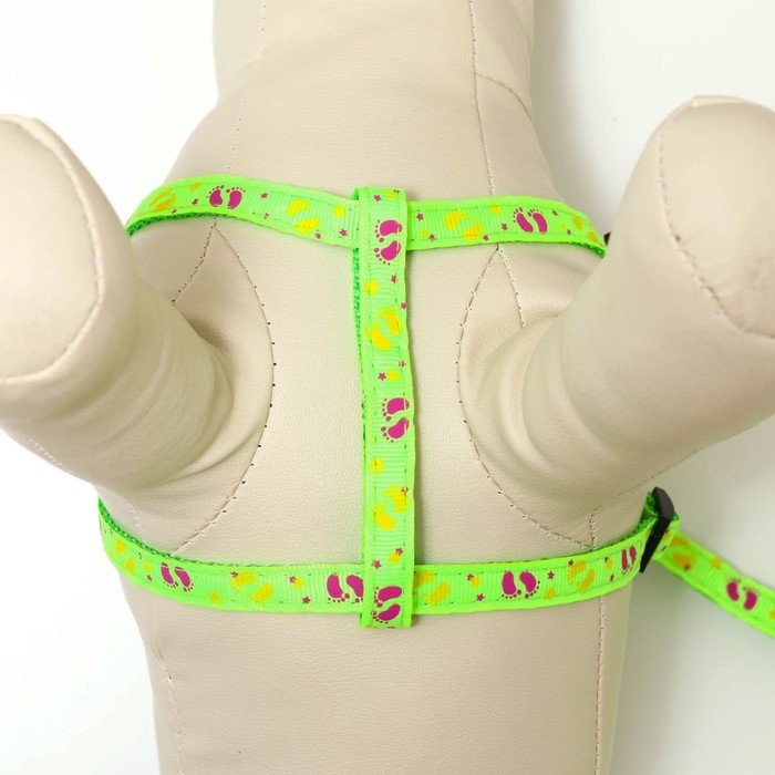 Комплект Комплект "Цветные следы", поводок 120 х 1 см, ОГ 23-35 см, зелёный