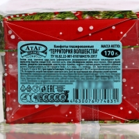 Новый год. Конфеты глазированные "Территория волшебства", МИКС, 170 г