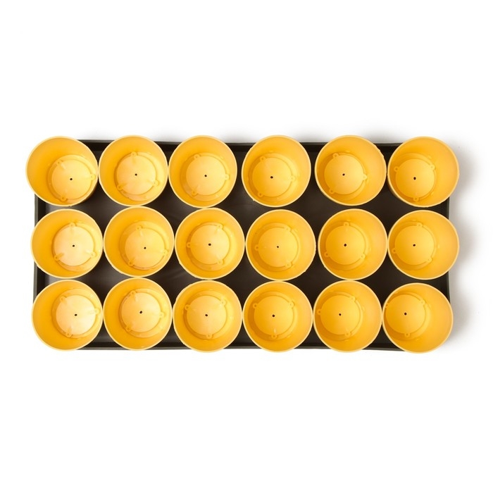 Набор для рассады: стаканы по 250 мл (18 шт.), поддон 40 &times; 20 см, цвет МИКС, Greengo