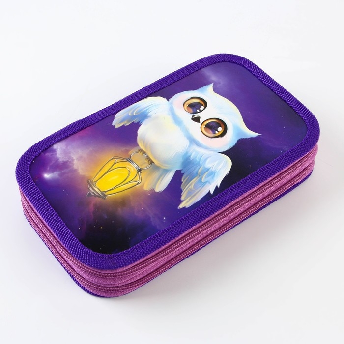 Пенал школьный 2 секции 190 х 105 лам.кар ПО-090 &laquo;1 сентября: Совушка&raquo;