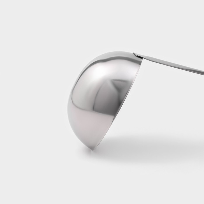 Половник из нержавеющей стали Доляна Everyday, 250 мл, 44&times;10,5 см, цвет серебряный