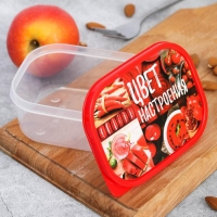 Ланч-бокс &laquo;Цвет настроения красный&raquo;, 0.5 л