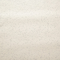 Обои виниловые на флизелиновой основе под покраску "Гомельобои" Штукатурка, 1,06х25м Обои виниловые на флизелиновой основе под покраску "Гомельобои" Штукатурка, 1,06х25м