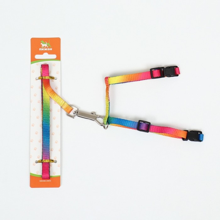 Комплект для кошек "Радуга", ширина 1 см, ОШ 16,5-27, ОГ 21-35 см, поводок 120 см