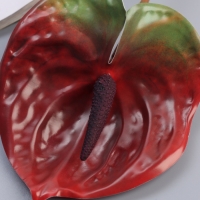 Цветы искусственные "Антуриум" 60 см, красный