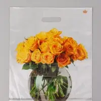 Пакет подарочный Восхищение  45 х 38 см 55 мкм