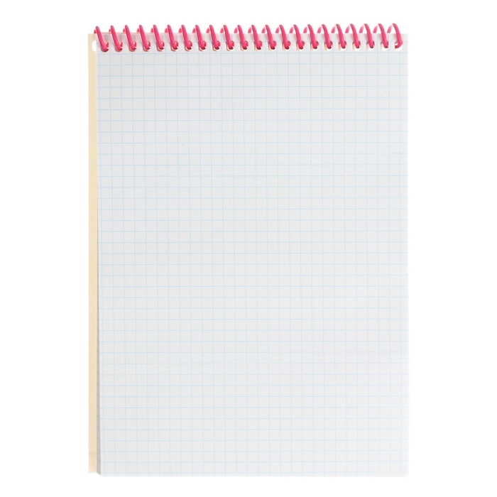 Подарочный набор: блокнот А5 и 2 ручки пиши-стирай, кошечка Мари