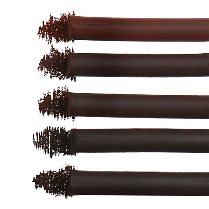 Сепия ЗХК "Ладога", ассорти 5 цветов, в картонной коробке, 2721422312