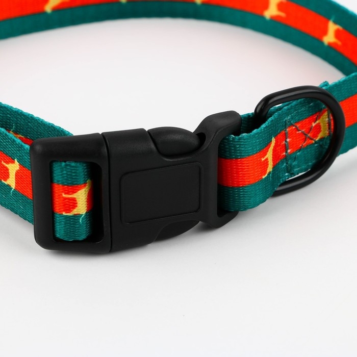 Ошейник &laquo;На стиле&raquo;, застёжка - фастекс, 2.5 см, 40-55 см