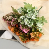 Букет "Граптопеталум" 25 см, микс