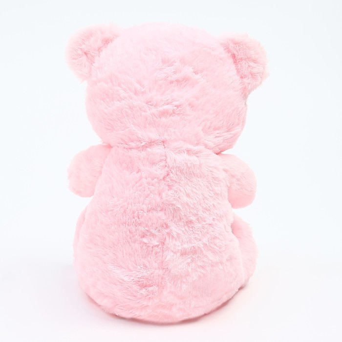 Мягкая игрушка &laquo;Мишутка&raquo;, 25 см, цвета МИКС