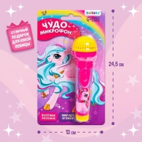 Микрофон музыкальный &laquo;Звёздочка&raquo;, световые и звуковые эффекты, работает от батареек
