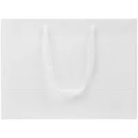 Пакет бумажный &laquo;Крафт&raquo;, S, белый