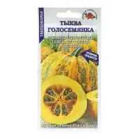 Набор семян Тыква "Голосемянка", среднеранняя, 5 шт.