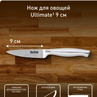 Кухонный нож для овощей K1700574 9 см, серебристый