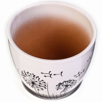 Горшок цветочный Одуванчик 2,5л с подставкой