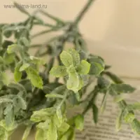 Букет искусственный &laquo;Зелень&raquo;, с напылением, 22 см (цена за 1 шт., фасовка 6 шт.)