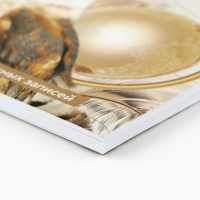 Ежедневник на гребне А5, 60 листов &laquo;День учителя: Золотому учителю&raquo;