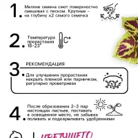 Семена цветов Колеус "Фейерверк" Мозаика F1, О, 10 шт