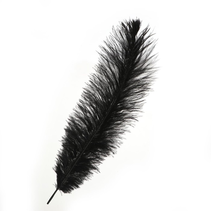 Перо для декора, размер: 30-35 см, цвет чёрный Перо для декора, размер: 30-35 см, цвет чёрный