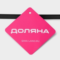 Держатель для бумажных полотенец подвесной Доляна, 26&times;1,5&times;12 см, цвет чёрный