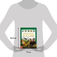 Детская энциклопедия в твёрдом переплёте &laquo;Животные России&raquo;, 48 стр.