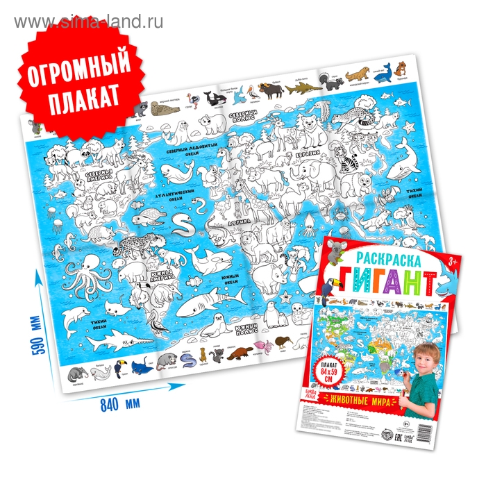 Обучающий плакат-раскраска &laquo;Животные мира&raquo;, 59 &times; 84 см