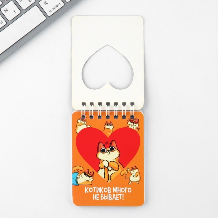 Подарочный набор &laquo;Котик&raquo;, карандаши 2 шт, ластики 2 шт, блокнот