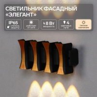 Светильник фасадный &laquo;Элегант&raquo;, FSD-041, 8 Вт, 3000К, 4 луча, IP65, 220 В, пластик, черный