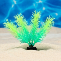 Растение искусственное аквариумное, светящееся, 10 см, зелёное Растение искусственное аквариумное, светящееся, 10 см, зелёное