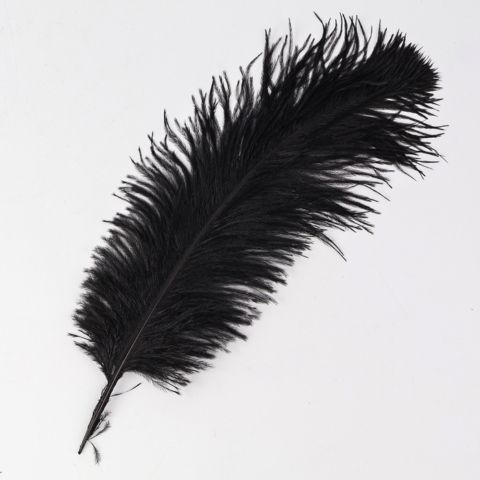 Перо для декора, размер: 30-35 см, цвет чёрный Перо для декора, размер: 30-35 см, цвет чёрный