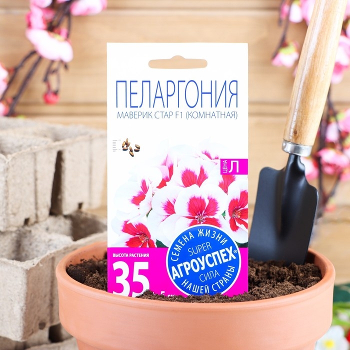 Семена цветов Пеларгония Семена цветов Пеларгония "Маверик Стар", F1, 4 шт