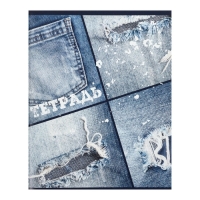 Комплект тетрадей из 4 штук, 96 листов в клетку Calligrata "Джинс", обложка мелованный картон, блок офсет