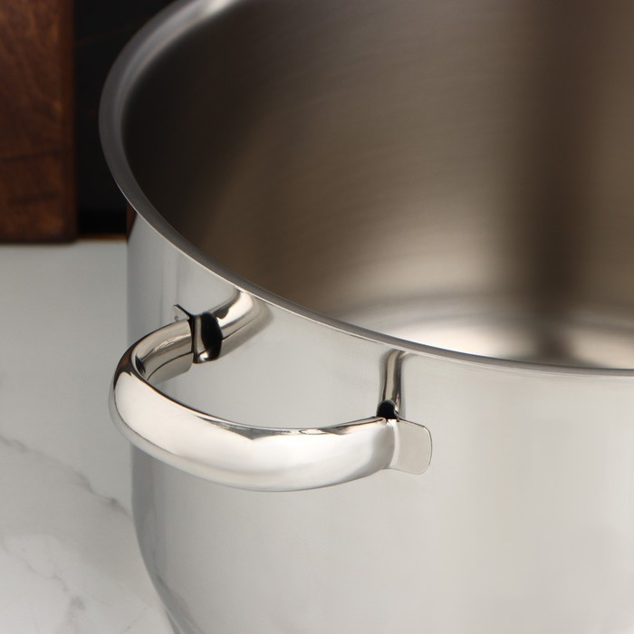 Кастрюля цельнотянутая &laquo;Профи&raquo;, 10 л, d=28 см, капсульное дно, индукция