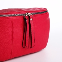 Сумка кросс-боди на молнии, цвет красный Сумка кросс-боди на молнии, цвет красный