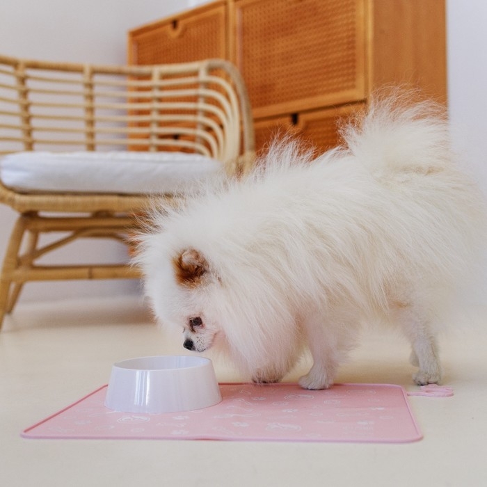 Коврик силиконовый под миску «Паттерн», 30х40 см, розовый Коврик силиконовый под миску «Паттерн», 30х40 см, розовый