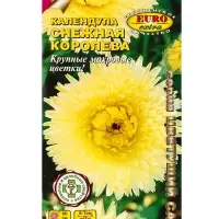 Семена цветов Календула Снежная королева А/З , Ц/П,0,5 г